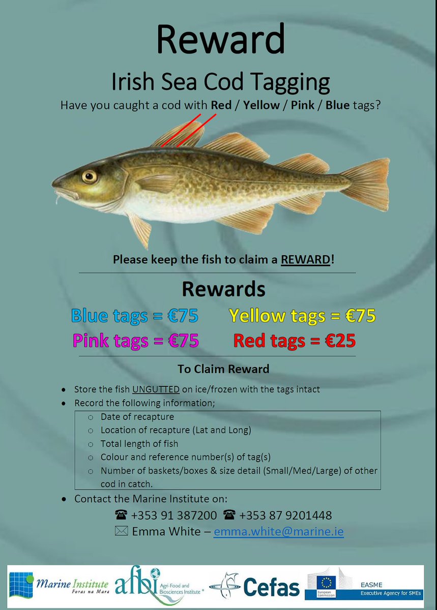 Online dating ireland plenty of fish-in-Blairlogic