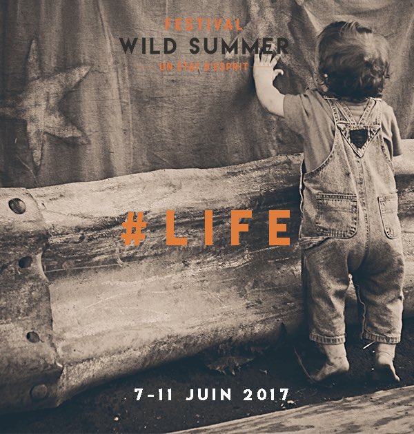 Zone Kids au Wild Summer Festival - tres bientôt le planning des ateliers en ligne - Avec les Ateliers D'Arthur et Virginie Roche