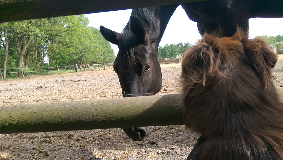 Hanging out with the big boys...