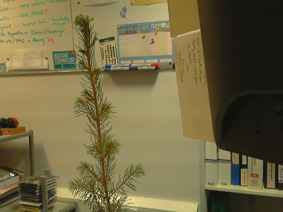 jqtree's tweet photo. It's 08:26 12-04-2017 and this is how I look #MyLittleTree https://t.co/5tbGzjqW0h