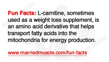marriedmuscle's tweet photo. #marriedmuscle #funfacts #muscle #bodybuilding #nutrition #fitness #fitfam https://t.co/j8N3Vbe1vg https://t.co/aE5WTqvzSL