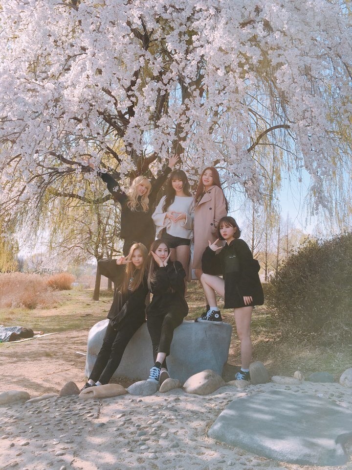 GFRDofficial's tweet photo. #여자친구 #GFRIEND #일산호수공원 #벚꽃 #cherryblossom 날씨가 너무 좋아요❤️ 함께 있어서 행복해🎀 https://t.co/u07XHj0EDD