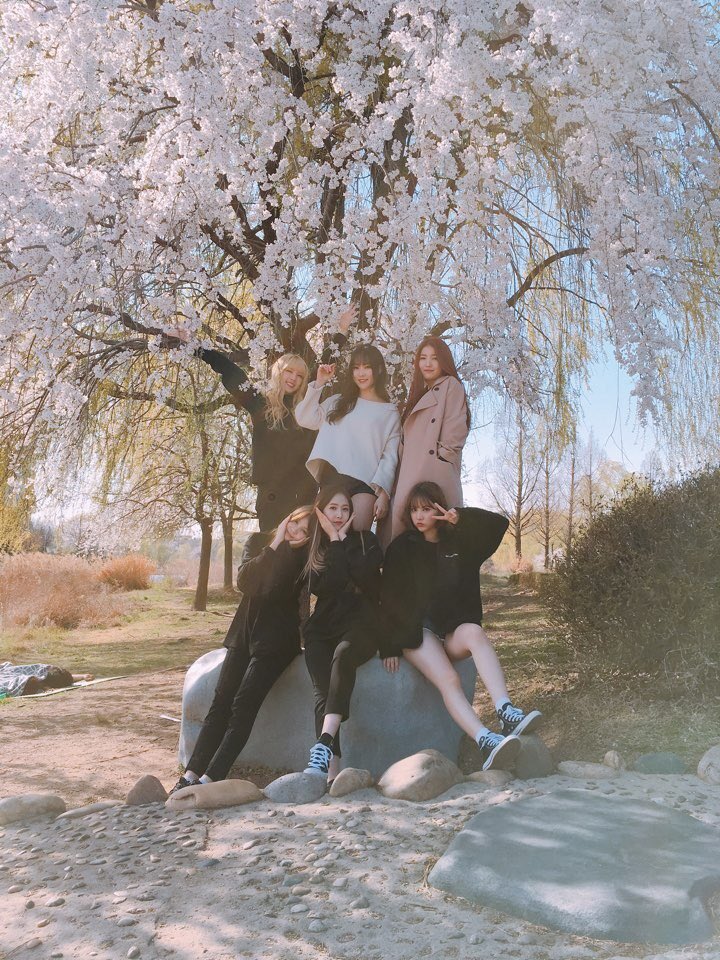GFRDofficial's tweet photo. #여자친구 #GFRIEND #일산호수공원 #벚꽃 #cherryblossom 날씨가 너무 좋아요❤️ 함께 있어서 행복해🎀 https://t.co/u07XHj0EDD