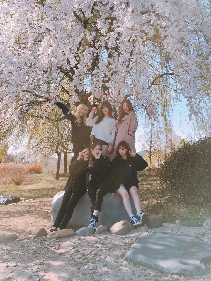 GFRDofficial's tweet photo. #여자친구 #GFRIEND #일산호수공원 #벚꽃 #cherryblossom 날씨가 너무 좋아요❤️ 함께 있어서 행복해🎀 https://t.co/u07XHj0EDD