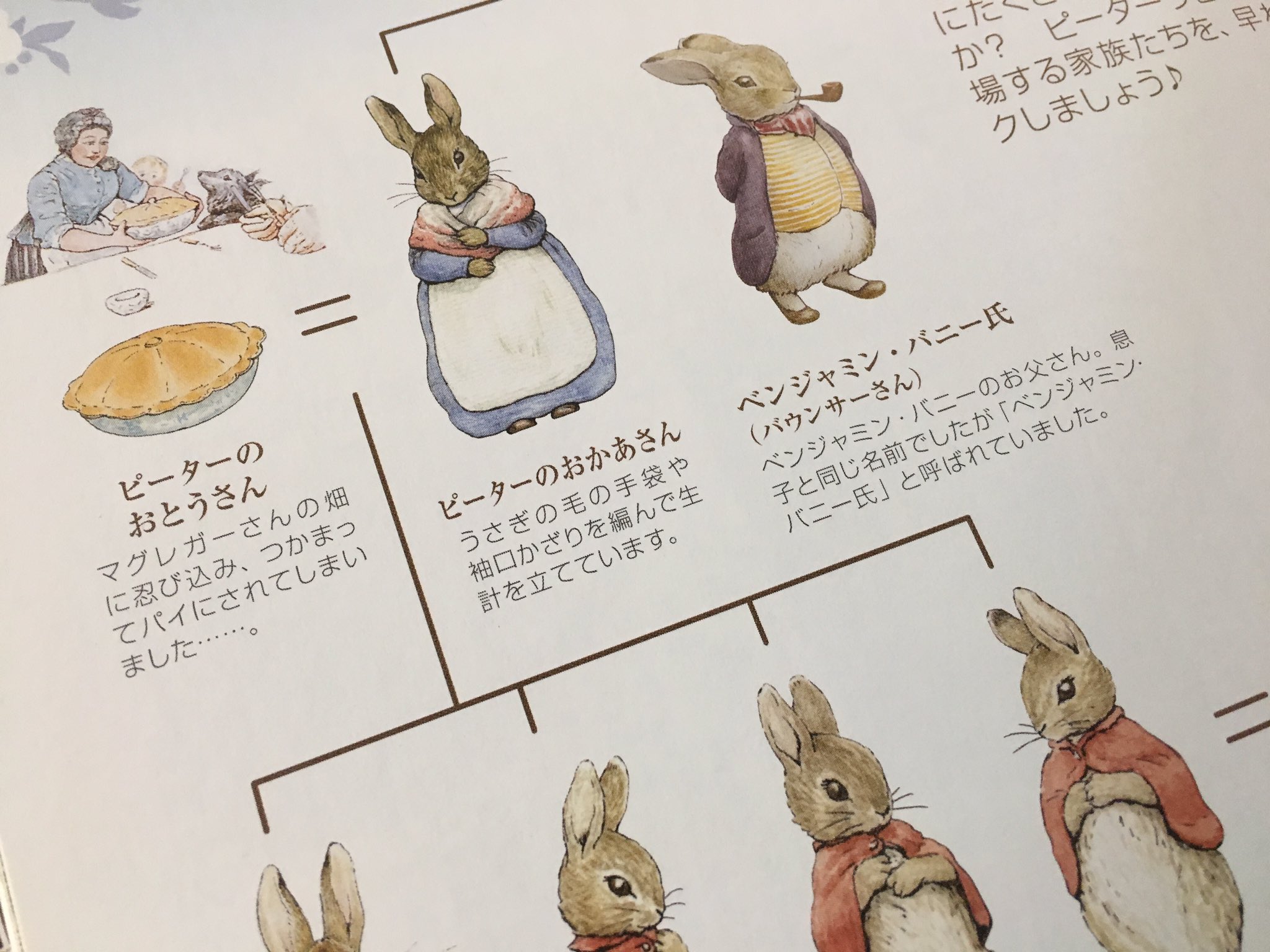 Twitter এ まめ いうも思うけどこれはなかなかに怖い しかもこどもにマグレガーさんの畑に行っては行けないと言い聞かせる時に お父さん はマグレガーさんにパイにされたんだからね と言い聞かせる母親 しかもこの下の写真 はうさぎ好きが買うような雑誌に