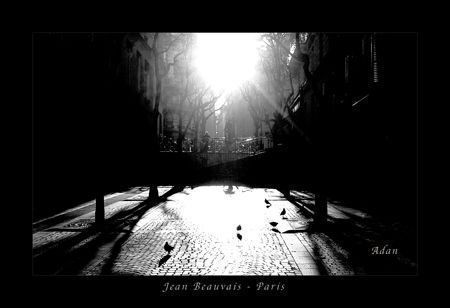 FelipeAdanLerma's tweet photo. Shop My Black & White #Photography Collection @FineArtAmerica https://t.co/V7rHN2kNHX #BWImages #BWParis https://t.co/YyedRQcrYY