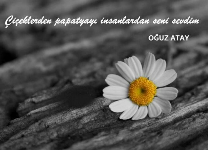 Hepinizi çok seviyorum...