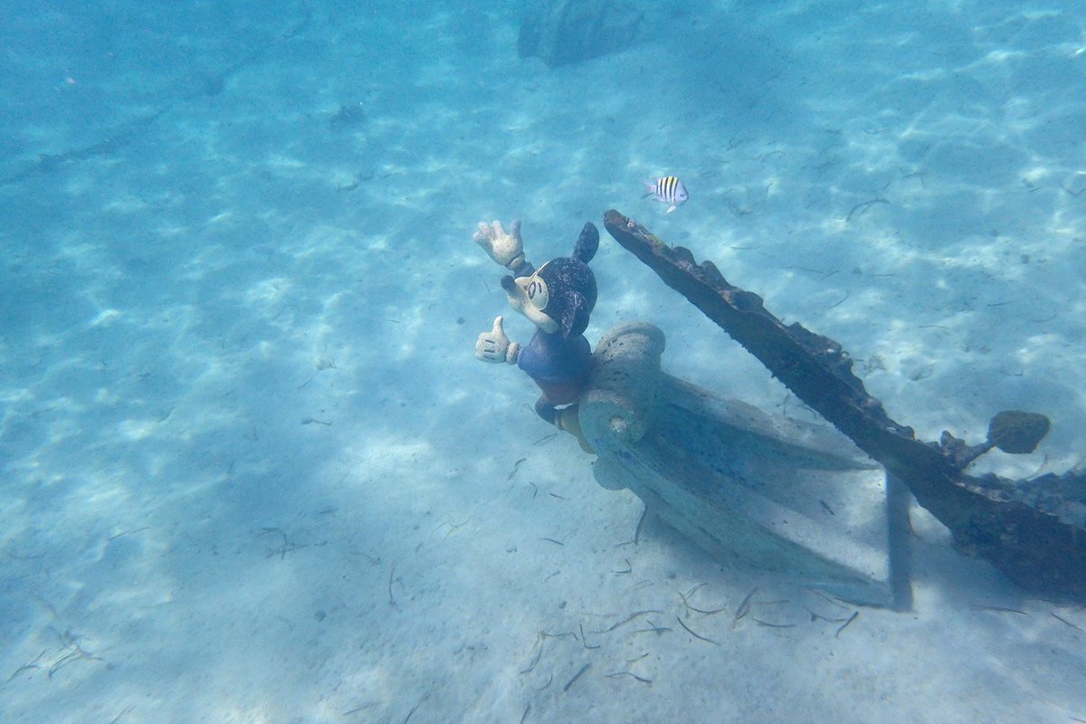 ট ইট র ヒロ ディズニーが所有するプライベートアイランド キャスタウェイ ケイ でシュノーケリング ミッキーさんも海の中に ミニーちゃんより沖にいるので頑張って探してみて下さいね Mndcl Ny発dcl ハロウィンクルーズ マジック号