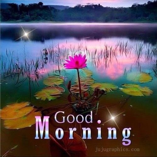 childofthekingz's tweet photo. Blessing 2 U @Closer_Walk2 @WhatASaviour7 @BentOnWorship @raycomfort @GivingUpSelf @iNTELLECT3n1 @AmIshoBaraka @Christalynn_N @Jerome4Jesus1 https://t.co/RsdR0DTY4Q
