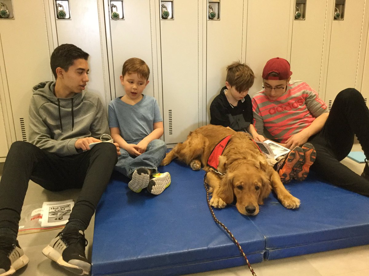 jengargolden's tweet photo. Pawsitive reading at Valour.  #RCDSBReads https://t.co/LPhChrj8at