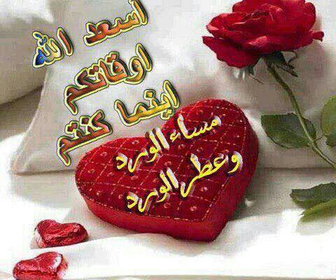 alkateloni's tweet photo. #شكو_بكلبك https://t.co/FIKbBgoiOz