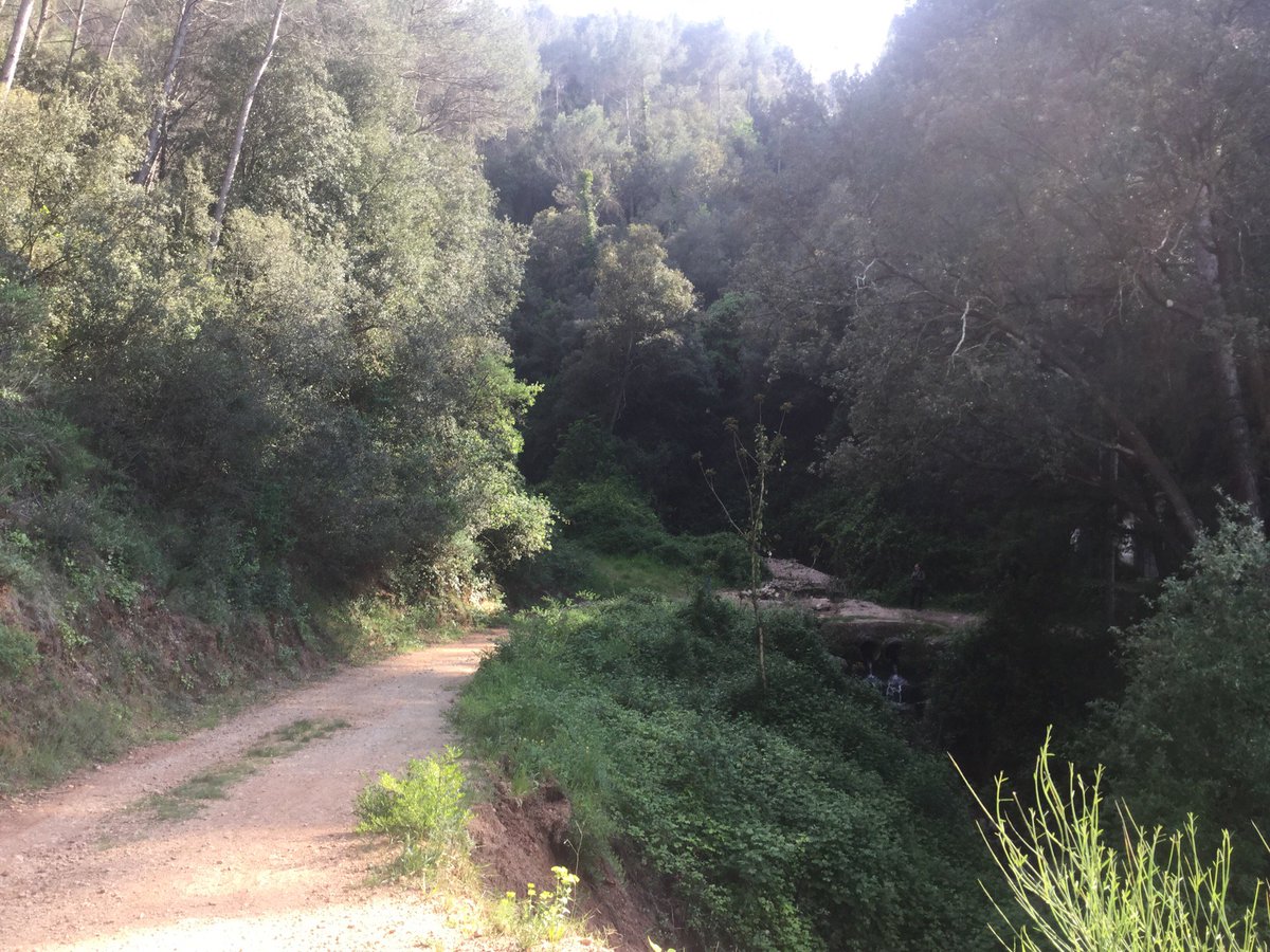 entrearbres's tweet photo. Sortida de camp #ProjecteExecutiu modificació #cami #forestal #primari #candeu del #PPI #municipi #corberadellobregat #BaixLlobregat https://t.co/V5d6xIcQUK
