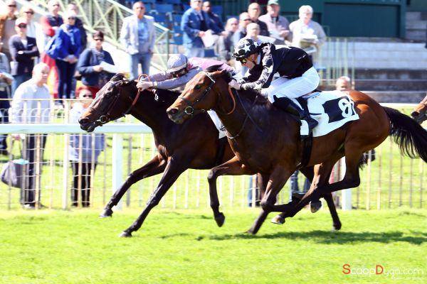 Jour_de_Galop's tweet photo. Petit frère de Charm Spirit, #NormandySpirit (#Myboycharlie) signe sa 1re vict. pour sa 2e sortie dans le Px de Vulaines-sur-Seine (#Maiden) https://t.co/ptV7k92aMq