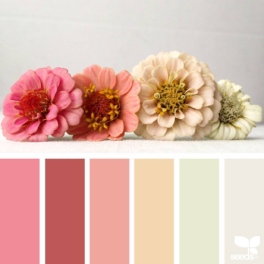 minyul_125's tweet image. *phủi bụi* :))
#designseeds 😍😍😍