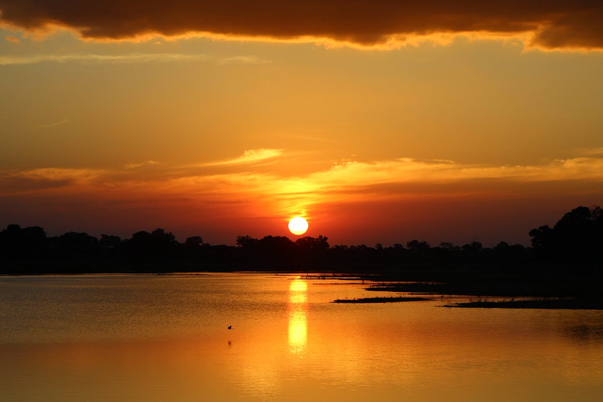 mango_maddy's tweet image. "You have to understand - there is a romance to Africa. You can see a sunset and believe you have witnessed the Hand of God..."
~J. Picoult