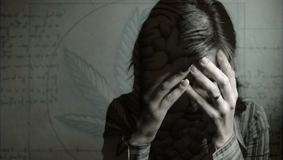 ismokemedia's tweet image. If cannabis causes schizophrenia, then where is this increase in the number of patients as its use rises? buff.ly/2p4yndy