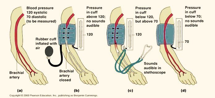 الدم طريقة قياس ضغط كيفية قياس