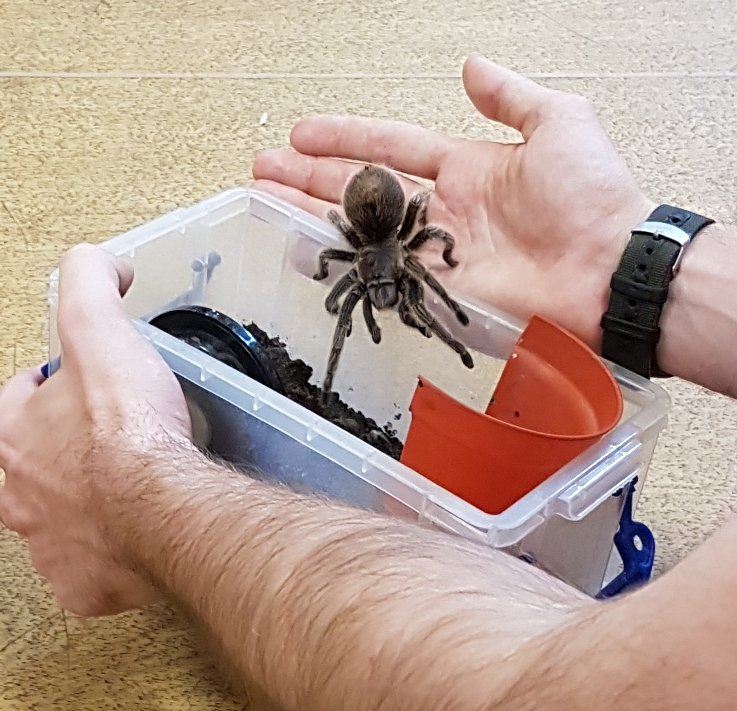 ActivateCamps's tweet photo. Enjoying @ZooLabUK as part of our @haven Nature Rockz week @DerbyHighSchool #ActivateMiniRangers https://t.co/n7JHU5jehj