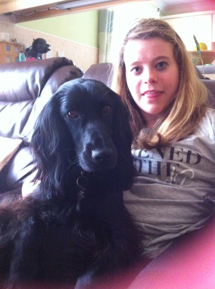 CAjilly's tweet photo. A cheering story now - the tale of Jetta the @DogsForGoodUK #cockerspaniel who has changed Georgia's life https://t.co/iryxZLSGzC #SOTD https://t.co/UWgMu5Pjna