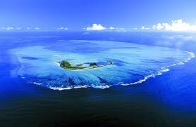 _IamFisherman's tweet photo. Alphonse Island, Seychelles .
#fishing #fisherman #fish https://t.co/xWyyrXycFD