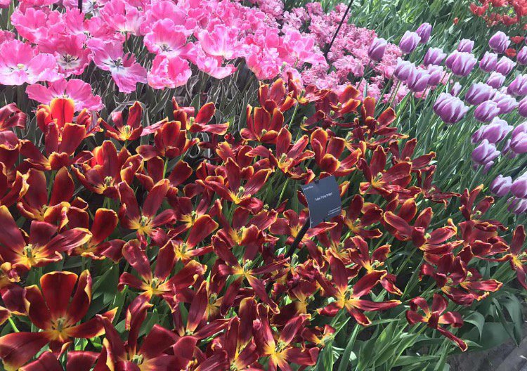 GoEuGo_EU tweet media