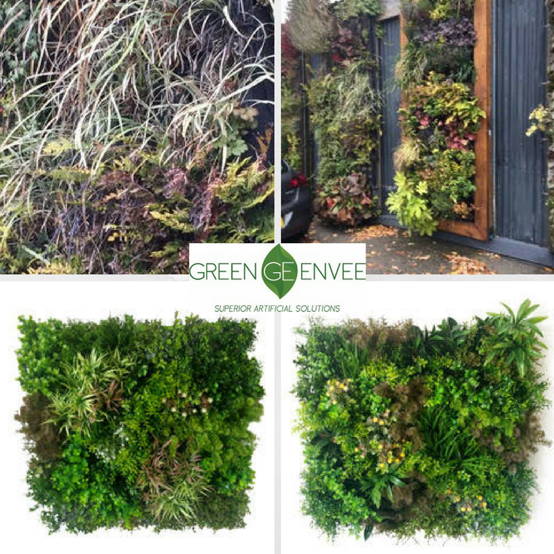 #Dead Living #GreenWalls? - Not with our #Superior #Artificial #GreenWalls ! 
Contact us on 0203 893 1110  #ukgarden #landscapeuk #trees