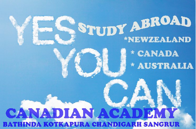 CanadianAcaEdu's tweet photo. STAY POSITIVE, WORK HARD AND MAKE IT HAPPEN
#LIVEABROAD #WORKHARDPLAYHARD #ORGOHOME
#CANADIANACADEMY
#STUDYVISA_EXPERT
Chandigarh:7900000134 https://t.co/yhulf5QMS8