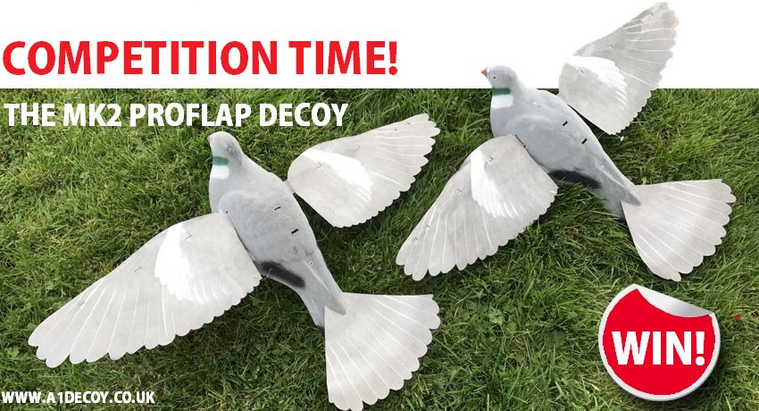 #COMPETITION WIN pair of MK2 Pro Flap Decoys! To enter; retweet this post &amp; follow us! #Winner will be selected at random on 18th April!