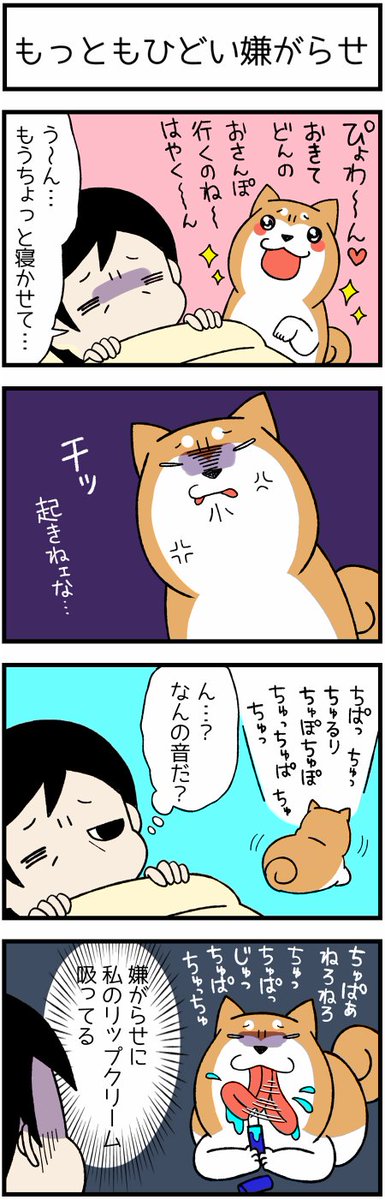 宮路ひま 地味だけどものすごくイヤな嫌がらせ 柴犬どんぐり コロコロまんが日記 T Co Epc5el4jq8 柴犬 柴犬どんぐり ドヤ顔柴犬どんぐり 漫画 犬 絵日記 宮路ひま 地味だけどものすごくイヤな嫌がらせ 柴犬どんぐり コロコロまんが日記 T Co Epc5el4jq8 柴犬 柴犬どんぐり ドヤ顔柴犬どんぐり 漫画 犬 絵日記