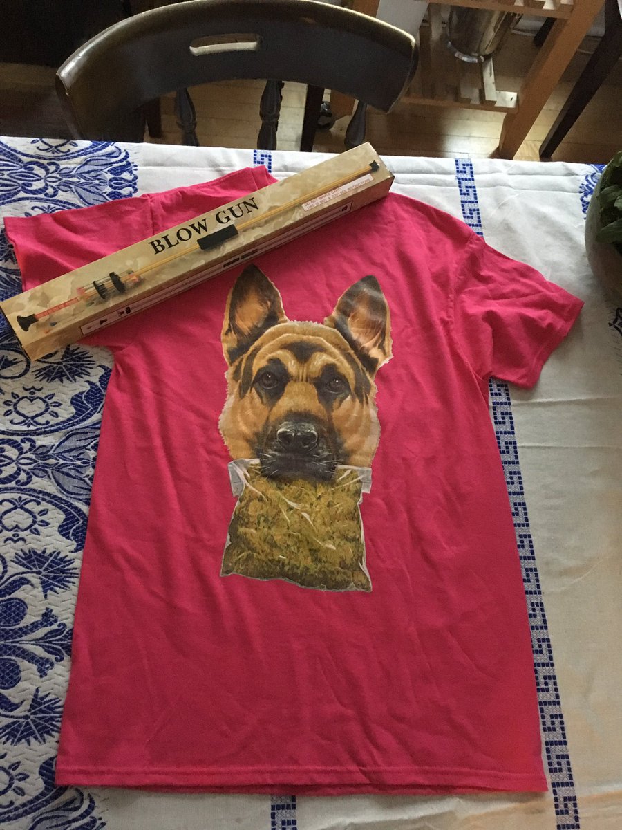 LiZiner's tweet photo. These are my 3 favorite bday gifts from yesterday. Did I turn 29 or 16 ๐ค๐#blowdartgun #weeddog #NewFoundGlory https://t.co/lY3EkpseX0