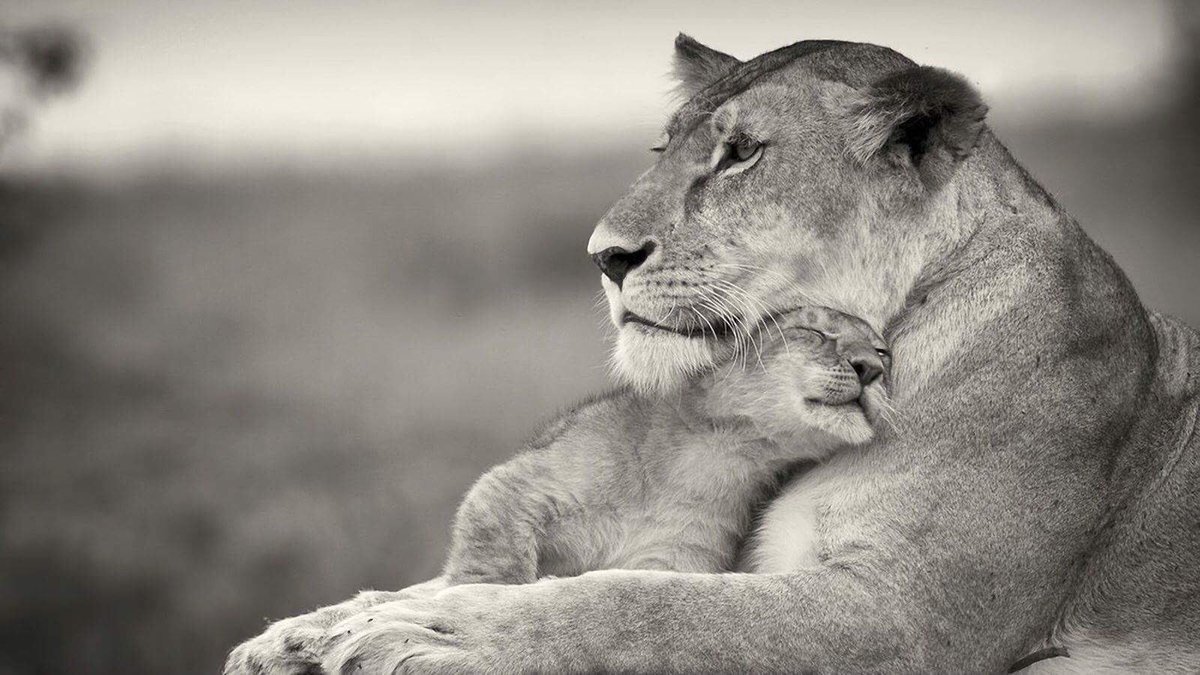 Marie Caprl tweet media