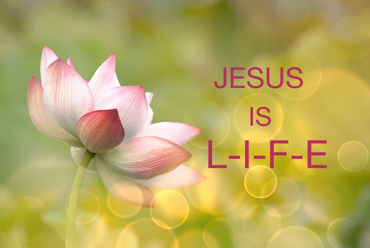 miyoko ishibashi (@ishibashimiyoko) on Twitter photo @LordJesus111 @GregPettys <a href="/oliveicarlos/">Carlos Oliveira</a> <a href="/HLERadio/">Hle Radio</a> <a href="/karmalchambers/">Minister Karma 🕊</a> <a href="/Toribridges10/">Tori Bridges</a> @JesusBranch @MaryJoHopkins5 <a href="/doucefeline/">nadia nana</a> <a href="/beverlyfelix3/">beverly felix</a> @NH_Hockey_12 <a href="/AHeartofVirtue/">ShannonSloane, M.A.</a> @KeeneBeverly <a href="/emmanuelobi476/">lion of Judah</a> <a href="/AnitaLea1/">JESUS LOVES YOU ❤️</a> <a href="/trinitysfaith/">Trinity Obregon❤</a> @iriley0222 @VictorDBest1 <a href="/67Chester/">Chester Rafuse</a> <a href="/bobonfarm/">bob huffman</a> @silviads0110 <a href="/sprec61551/">Gloria Preciado</a> @TonyLopez1263 <a href="/Sharkman690/">Sharkman690</a> <a href="/SandiHKaye/">Sandi</a> <a href="/GodsGrace57/">Dolores 🙏🇺🇸❤️🇮🇱 #MAGA🇺🇸</a> <a href="/BonnieM1015/">Bonnie🐶👑🛡</a> <a href="/BeachcatTt/">Michelle</a> <a href="/Along_w_Jesus/">Lori</a> @lizfebruary9 <a href="/BAM_4G_Radio/">BAM_4G_Radio</a> @Yongyuan0162 <a href="/WeAreinGodsPlan/">Cherie</a> <a href="/acamire/">Gospel 5</a> <a href="/4U2hope/">Renée</a> @yetty_49 <a href="/GoFaithstrong/">Kimberly_Faith</a> <a href="/lemoncandys/">terri</a> <a href="/darhar981/">Sandpiper👑✝️🇮🇱🐈🐕☕️</a> @PoeticPastries <a href="/DawnWar54083541/">Dawn Warren💞</a> @UfcYoda <a href="/TimBurt/">Timothy Burt</a> <a href="/alisawoodard6/">Lovable Lisa</a> <a href="/AngeicaNewsom/">Angeica N Newsom</a> <a href="/ledrew/">ledrew fox</a> <a href="/logan43119/">Anita Horn Spurlock</a> <a href="/rabinahakin/">Rabina</a> <a href="/beautee12/">BeauTee</a> @LordJesus111 @GregPettys <a href="/oliveicarlos/">Carlos Oliveira</a> <a href="/HLERadio/">Hle Radio</a> <a href="/karmalchambers/">Minister Karma 🕊</a> <a href="/Toribridges10/">Tori Bridges</a> @JesusBranch @MaryJoHopkins5 <a href="/doucefeline/">nadia nana</a> <a href="/beverlyfelix3/">beverly felix</a> @NH_Hockey_12 <a href="/AHeartofVirtue/">ShannonSloane, M.A.</a> @KeeneBeverly <a href="/emmanuelobi476/">lion of Judah</a> <a href="/AnitaLea1/">JESUS LOVES YOU ❤️</a> <a href="/trinitysfaith/">Trinity Obregon❤</a> @iriley0222 @VictorDBest1 <a href="/67Chester/">Chester Rafuse</a> <a href="/bobonfarm/">bob huffman</a> @silviads0110 <a href="/sprec61551/">Gloria Preciado</a> @TonyLopez1263 <a href="/Sharkman690/">Sharkman690</a> <a href="/SandiHKaye/">Sandi</a> <a href="/GodsGrace57/">Dolores 🙏🇺🇸❤️🇮🇱 #MAGA🇺🇸</a> <a href="/BonnieM1015/">Bonnie🐶👑🛡</a> <a href="/BeachcatTt/">Michelle</a> <a href="/Along_w_Jesus/">Lori</a> @lizfebruary9 <a href="/BAM_4G_Radio/">BAM_4G_Radio</a> @Yongyuan0162 <a href="/WeAreinGodsPlan/">Cherie</a> <a href="/acamire/">Gospel 5</a> <a href="/4U2hope/">Renée</a> @yetty_49 <a href="/GoFaithstrong/">Kimberly_Faith</a> <a href="/lemoncandys/">terri</a> <a href="/darhar981/">Sandpiper👑✝️🇮🇱🐈🐕☕️</a> @PoeticPastries <a href="/DawnWar54083541/">Dawn Warren💞</a> @UfcYoda <a href="/TimBurt/">Timothy Burt</a> <a href="/alisawoodard6/">Lovable Lisa</a> <a href="/AngeicaNewsom/">Angeica N Newsom</a> <a href="/ledrew/">ledrew fox</a> <a href="/logan43119/">Anita Horn Spurlock</a> <a href="/rabinahakin/">Rabina</a> <a href="/beautee12/">BeauTee</a>