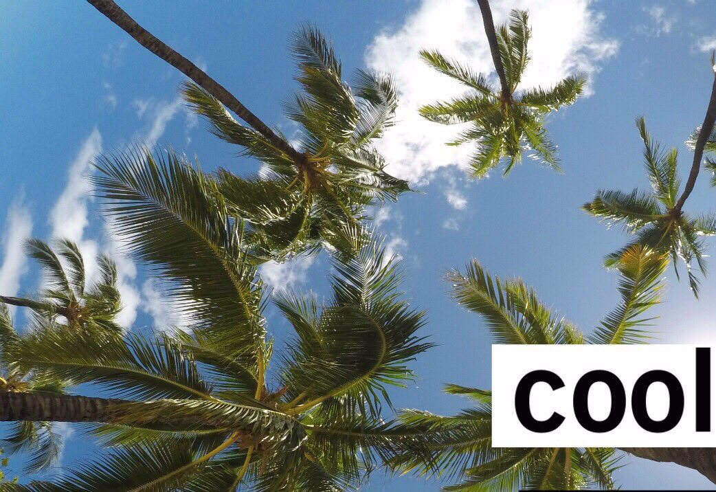matecollection's tweet photo. Don't miss our Weekly Store Playlist to refresh the midweek blues 🌊
https://t.co/SIuiaJkpNG
#music
#Poofgang
#Spotify https://t.co/rE70QC6lmV