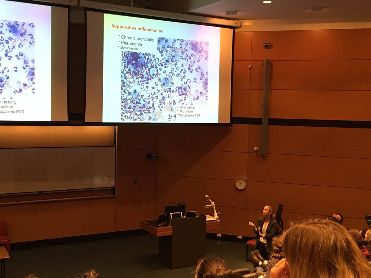 Alicia McLuckie (@alicia_mcluckie) on Twitter photo Fun #science event of the evening number 2 - veterinary practitioner evening <a href="/Sydney_Vet/">Sydney Uni Vet Sci</a> with a great talk from <a href="/JoWhitneyVet/">Joanna Whitney</a> with <a href="/vbarrs/">Vanessa Barrs</a> Fun #science event of the evening number 2 - veterinary practitioner evening <a href="/Sydney_Vet/">Sydney Uni Vet Sci</a> with a great talk from <a href="/JoWhitneyVet/">Joanna Whitney</a> with <a href="/vbarrs/">Vanessa Barrs</a>