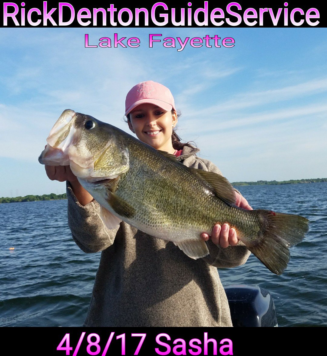 Rick_Denton_'s tweet photo. Sasha with her Giant caught on a yum dinger. @Rick_Denton_ @YUMFishing @Kistler_Rods @Piscifun @FLWFishing https://t.co/czYnnfcooe