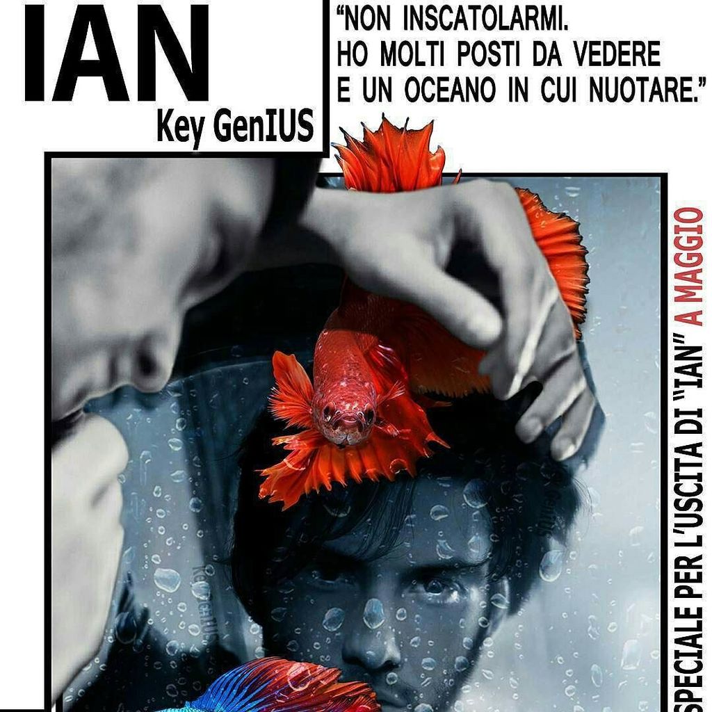 key_genius's tweet image. Ian #DontBoxMeIn 😃📚🙏 Thank You! 
#beyondthefleshsaga
#bookoftheday #books #book #read #reading #reader #page #pages #paper #kindle #library…