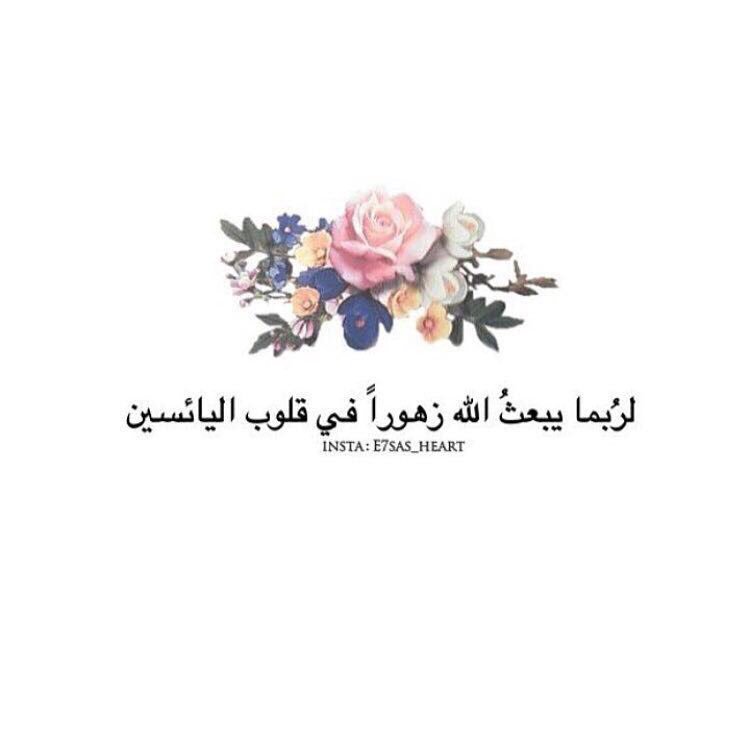 ForObaidSaeed's tweet photo. روح وريحان وجنة نعيم ونزل كريم، لموتانا وموتى المسلمين يارب🌼.”
اللهم ارحم أبي واغفرله واجمعني به في جناتك يارب https://t.co/axYNUyxhv2