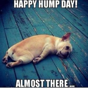 Cleanstartltd's tweet image. Happy hump day from the Cleanstart Team! 🐪 #HumpDay #cateringequipment #kitchencleaning #kitchenrefurbishment