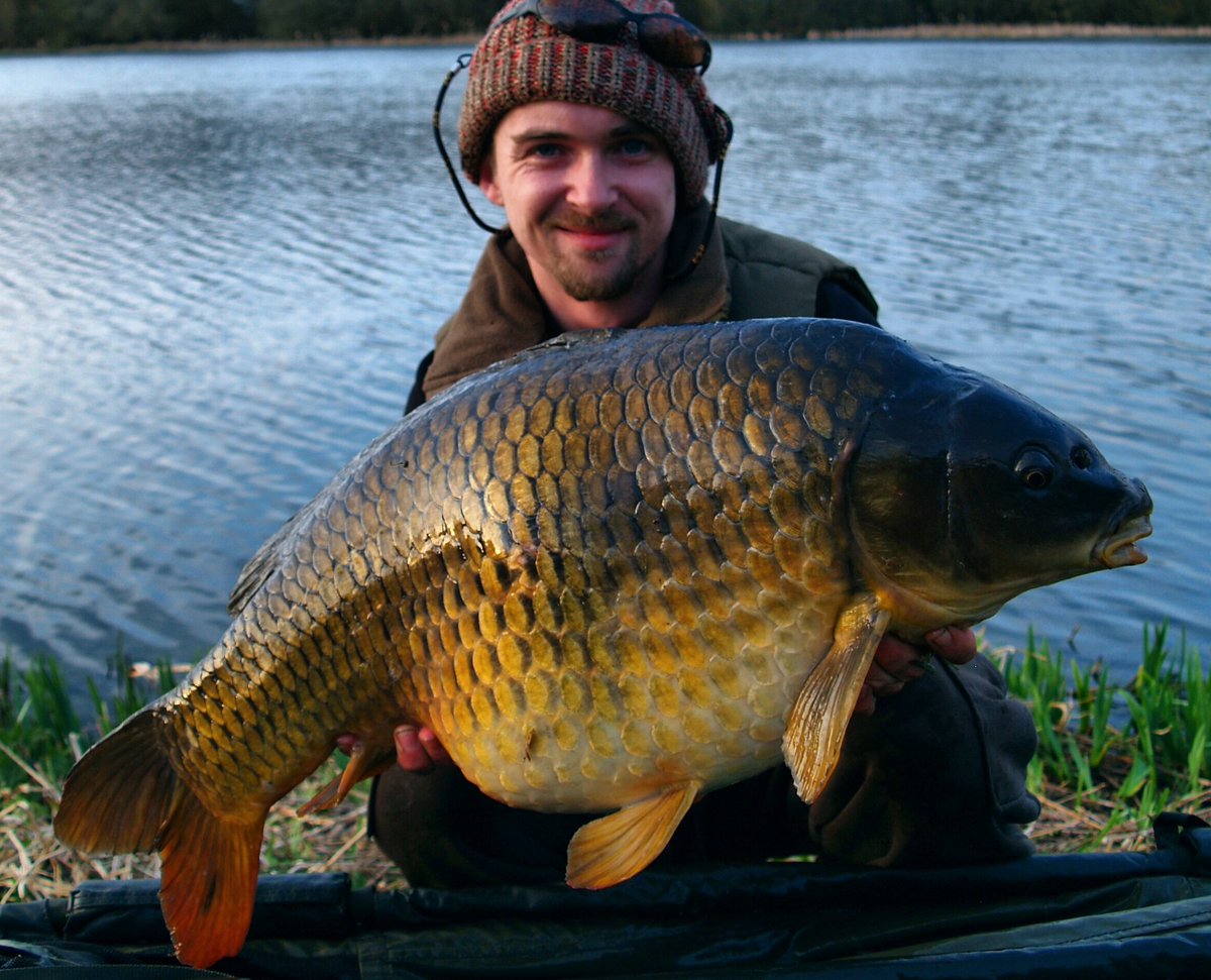 EddyStocker's tweet photo. NEW LAKE RECORD.. in the shape of this 32lb common..@hydrabaits #hex pop ups/solid bag over a scattering of 12mm #liverpro snared the beast https://t.co/KigXRuRymy