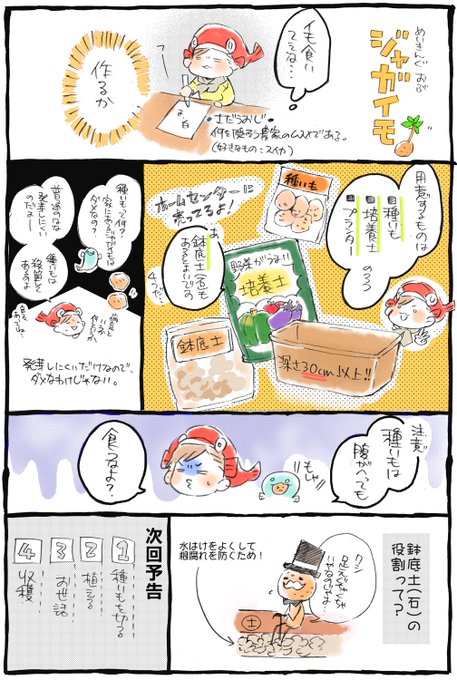 【気軽に野菜を育てようZE】
今育て始めれば、夏にはじゃがいもパラダイス！！！！٩( 'ω' )و 
これを覚えておけば火星に取り残されても大丈夫(･ω･)b 