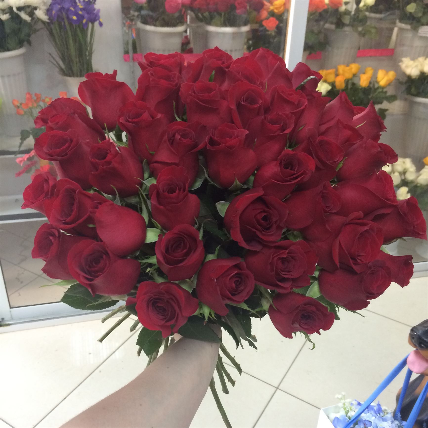 Доставка цветов в уфе камелия киев щербакова