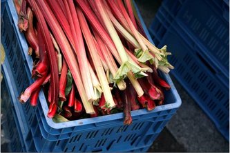 endlessmtpsuext's tweet photo. #Rhubarb 😍Unlimited possibilities exist for rhubarb to create delicious sauces, pies, cakes, cobblers, muffins, jams
https://t.co/8Tz8UT5v3s https://t.co/aEfeY6Mtip