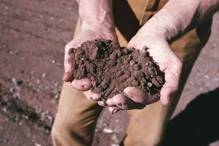 altreconomia's tweet photo. Un bando per #giovani agricoltori in cerca di #terra. 
È il progetto @TerreOriginali nel cuneese https://t.co/8lNPBQEgHJ https://t.co/1Ss7XKwQbf