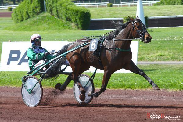 EquidiaNews's tweet photo. #Trot #lyon @gabigelormini "Elle est complètement déclassée." #Withma @TeamWestholm https://t.co/JZoZ8Jz2q7