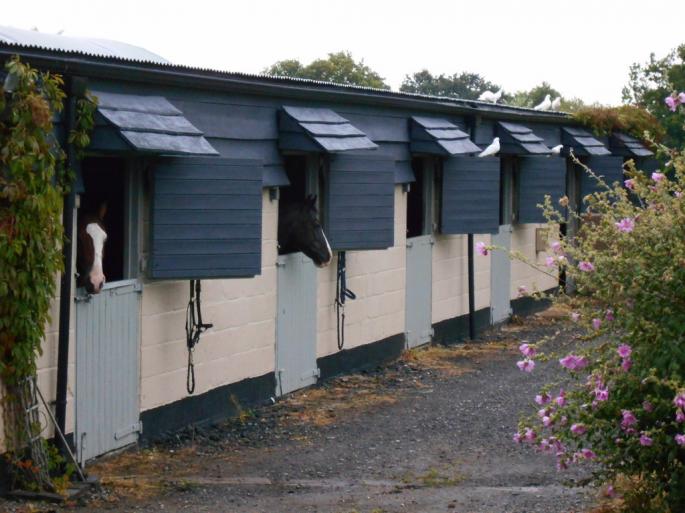 select_lettings's tweet photo. Looking for stables #ToLet in #Knowle? Look no further! 
Bakers Lane, Knowle
£1500 pcm

To find out more info, check out our website!  🐴🌿💛 https://t.co/12G3kgQTyk