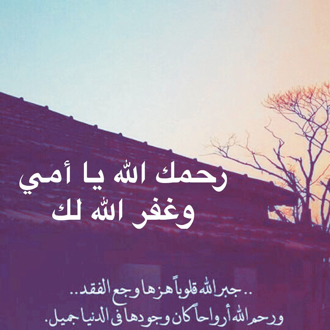 ﮼بدرية ﮼بنت ﮼عبدالله ﮼ال غوى tweet media