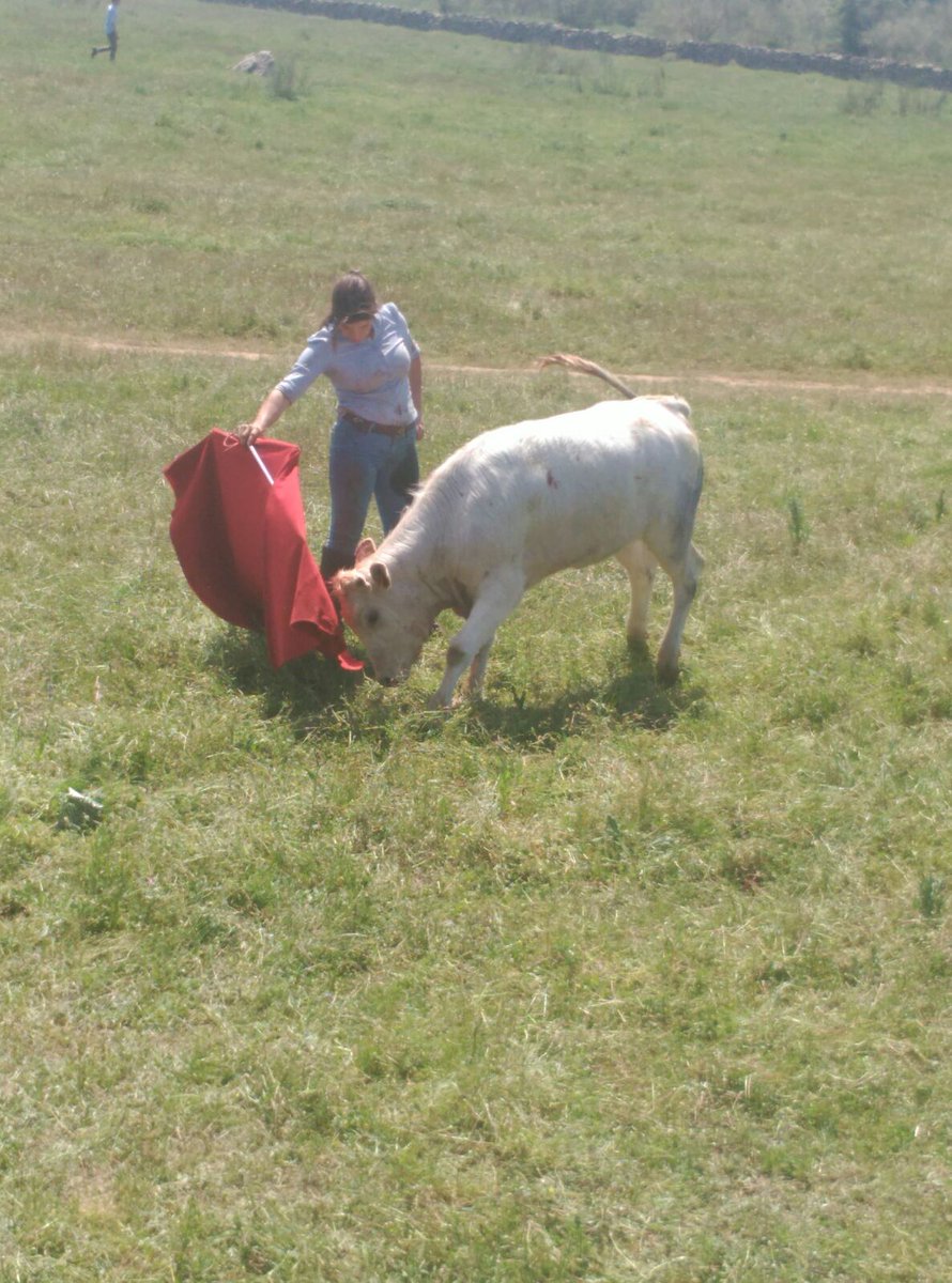 Gran día de campo , seguimos con la preparación #MMS #Campo #Preparacion #Sueños #Ilusion #Cadadiaunpasitomas