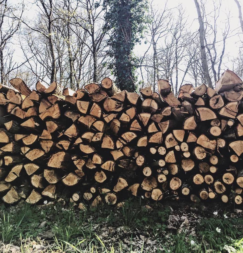 elomanoeuvre's tweet photo. Y'a ces fameux "tas de bois" que je rêvais de voir depuis un temps, eh bien y'en a partouuuut à Grimbosq ! 
#tasde… https://t.co/coWi2x2VlL https://t.co/GB56wS4wej