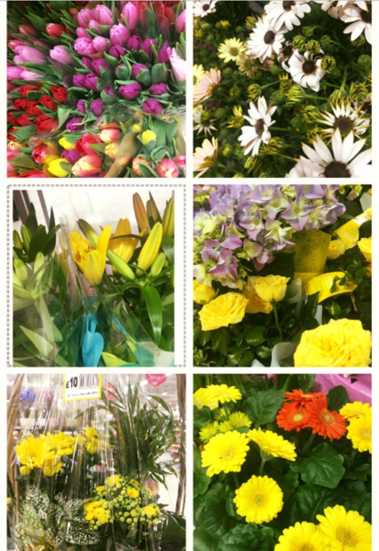Tesco5406's tweet photo. Lots of Easter plants now on sale 🌸🌺🌸 brighten up your bank holiday 🌺🌸🌺 https://t.co/N9JvahxVHx