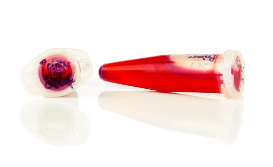 Ross Carter tweet media